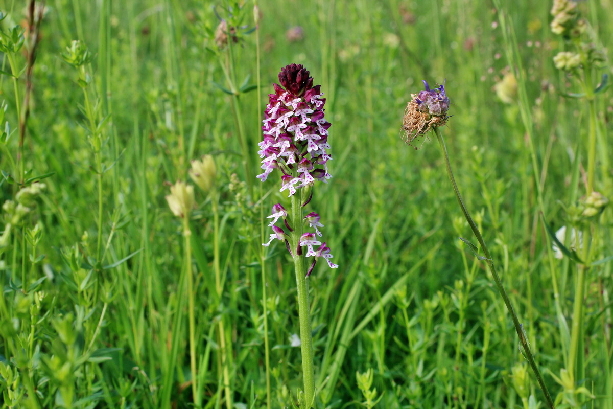 2014_06_13_00046063p_Bildgr��e �ndern