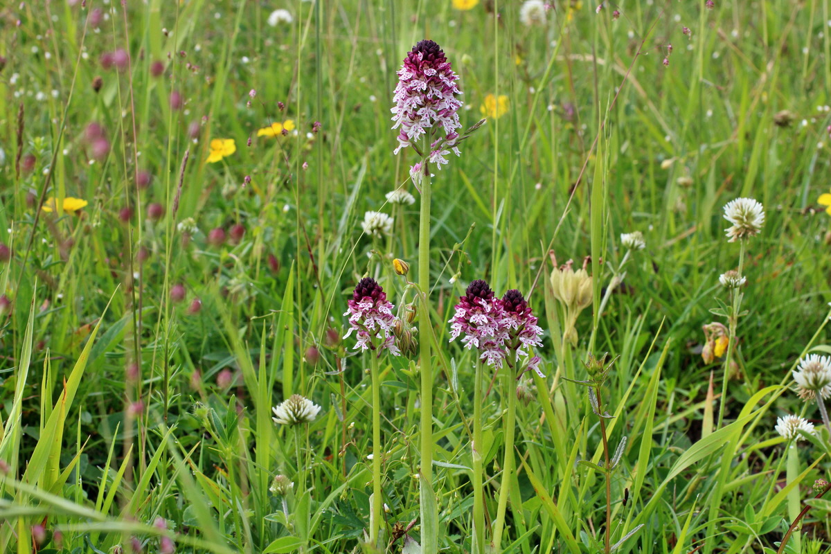 2014_06_13_00046085p_Bildgr��e �ndern