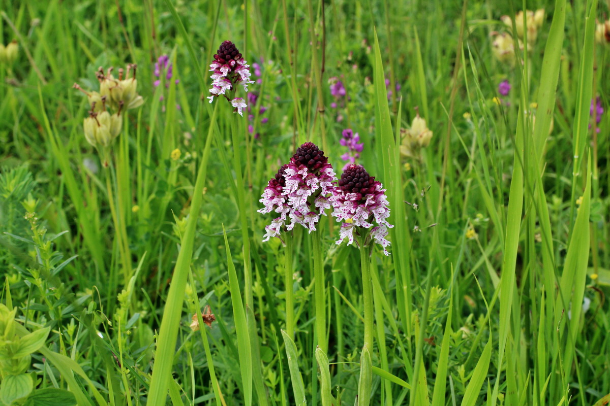 2014_06_13_00046107p_Bildgr��e �ndern