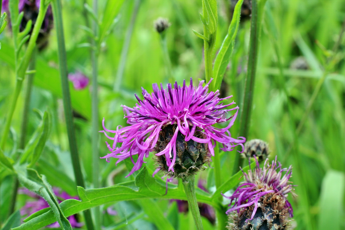 2014_06_13_00046117p_Bildgr��e �ndern