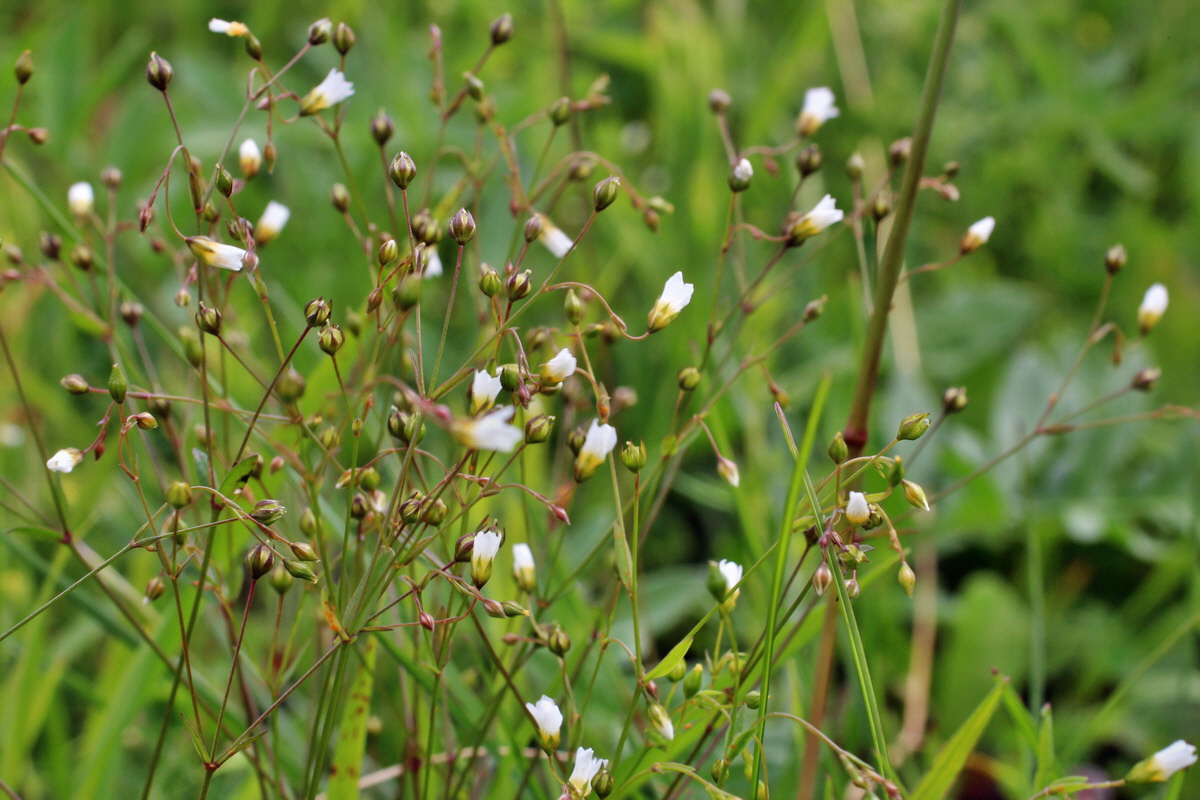 2014_06_13_00046120p_Bildgr��e �ndern