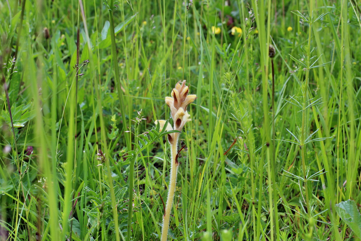 2014_06_13_00046127p_Bildgr��e �ndern