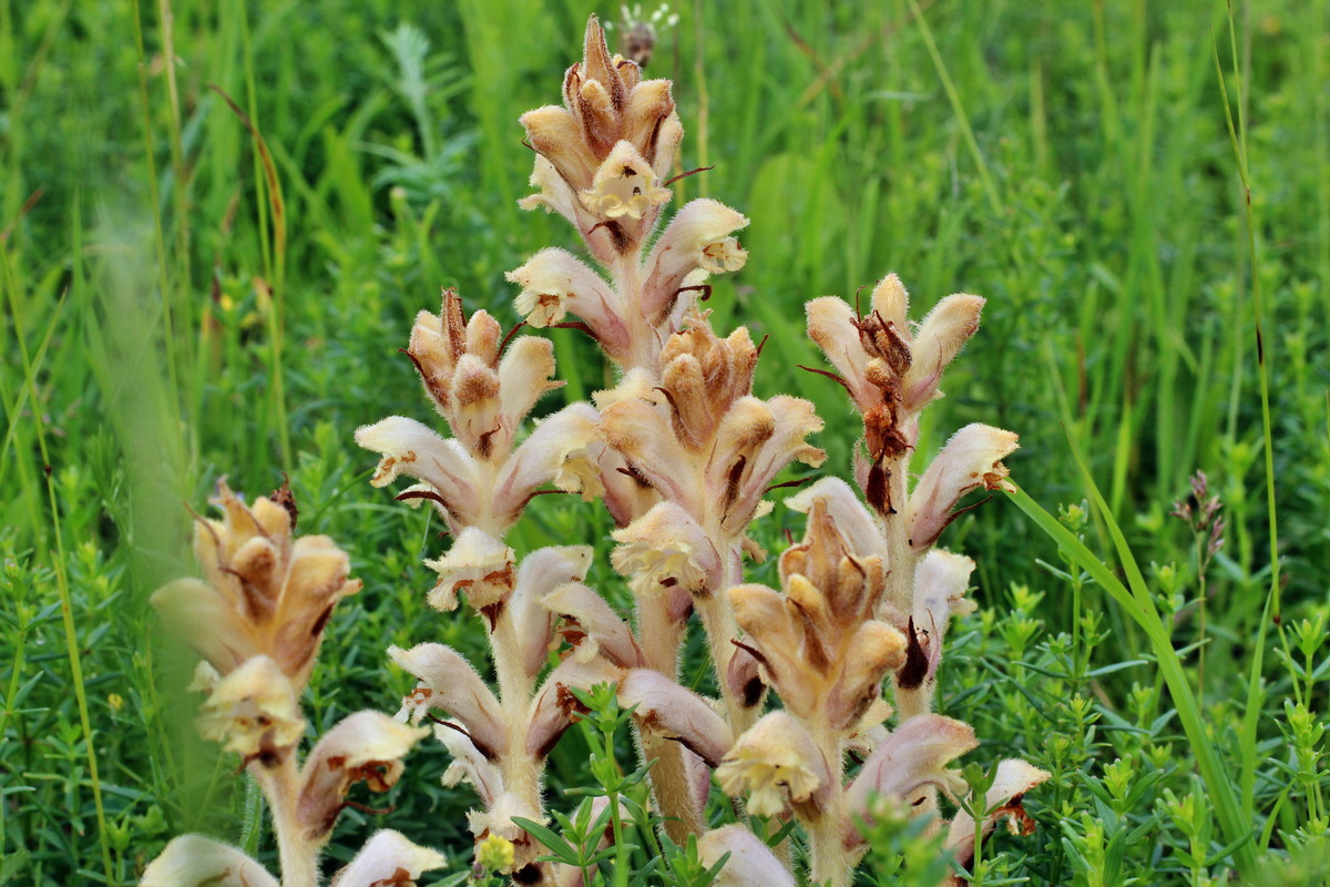 2014_06_13_00046143p_Bildgr��e �ndern