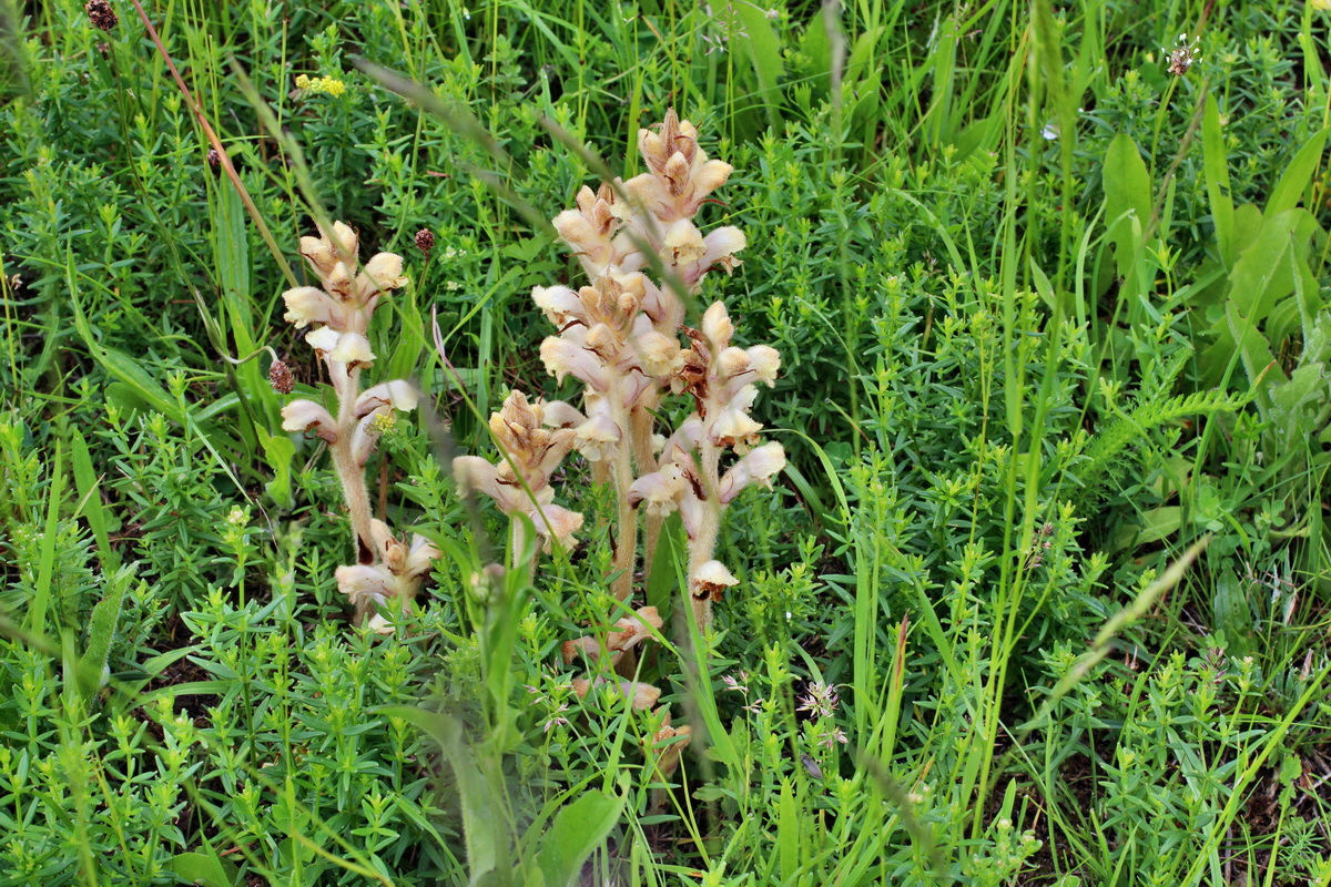 2014_06_13_00046145p_Bildgr��e �ndern