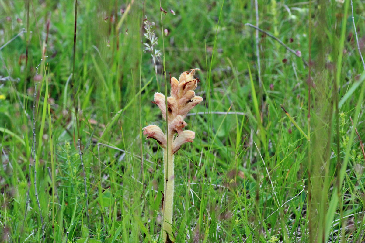 2014_06_13_00046155p_Bildgr��e �ndern