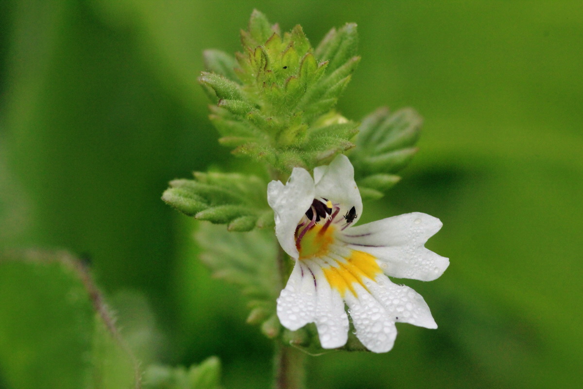 2014_06_13_00046161p_Bildgr��e �ndern