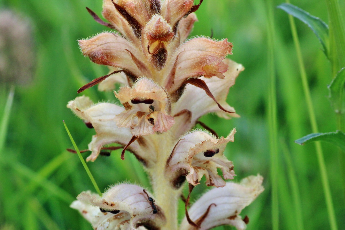 2014_06_13_00046165p_Bildgr��e �ndern