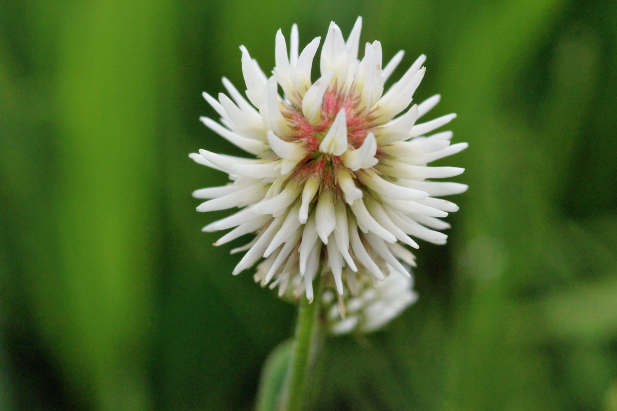 2014_06_13_00046168p_Bildgr��e �ndern