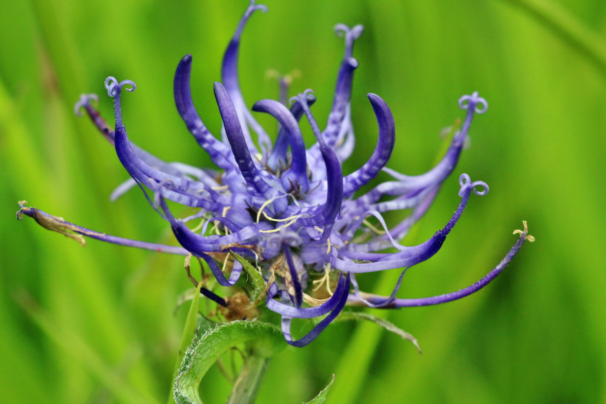 2014_06_13_00046171p_Bildgr��e �ndern