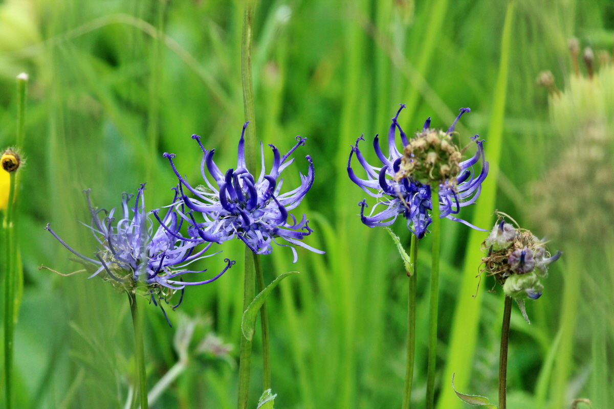 2014_06_13_00046178p_Bildgr��e �ndern