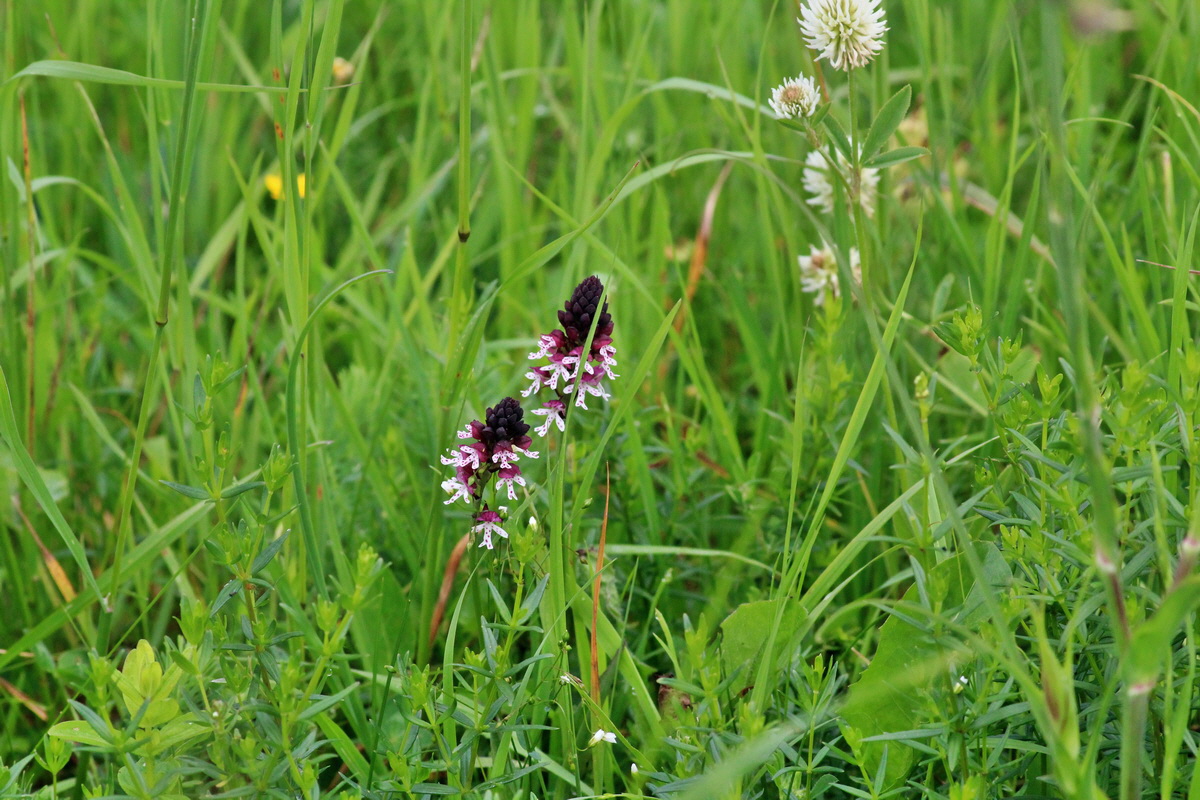 2014_06_13_00046180p_Bildgr��e �ndern