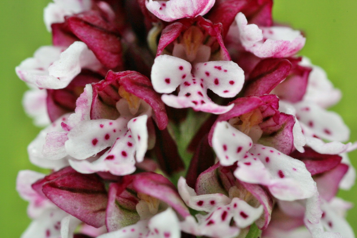 2014_06_13_00046193p_Bildgr��e �ndern