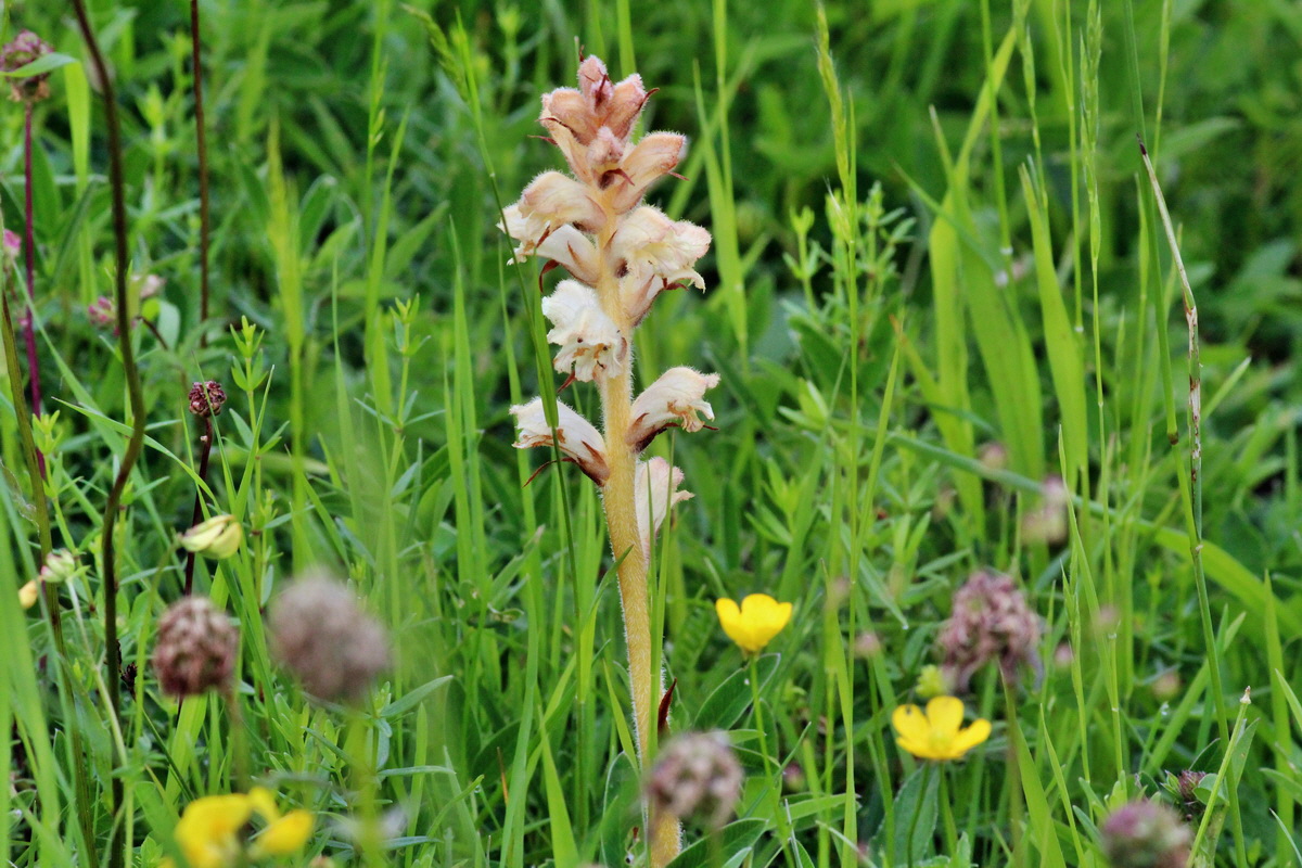 2014_06_13_00046210p_Bildgr��e �ndern