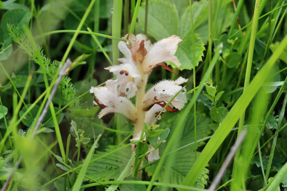 2014_06_13_00046230p_Bildgr��e �ndern