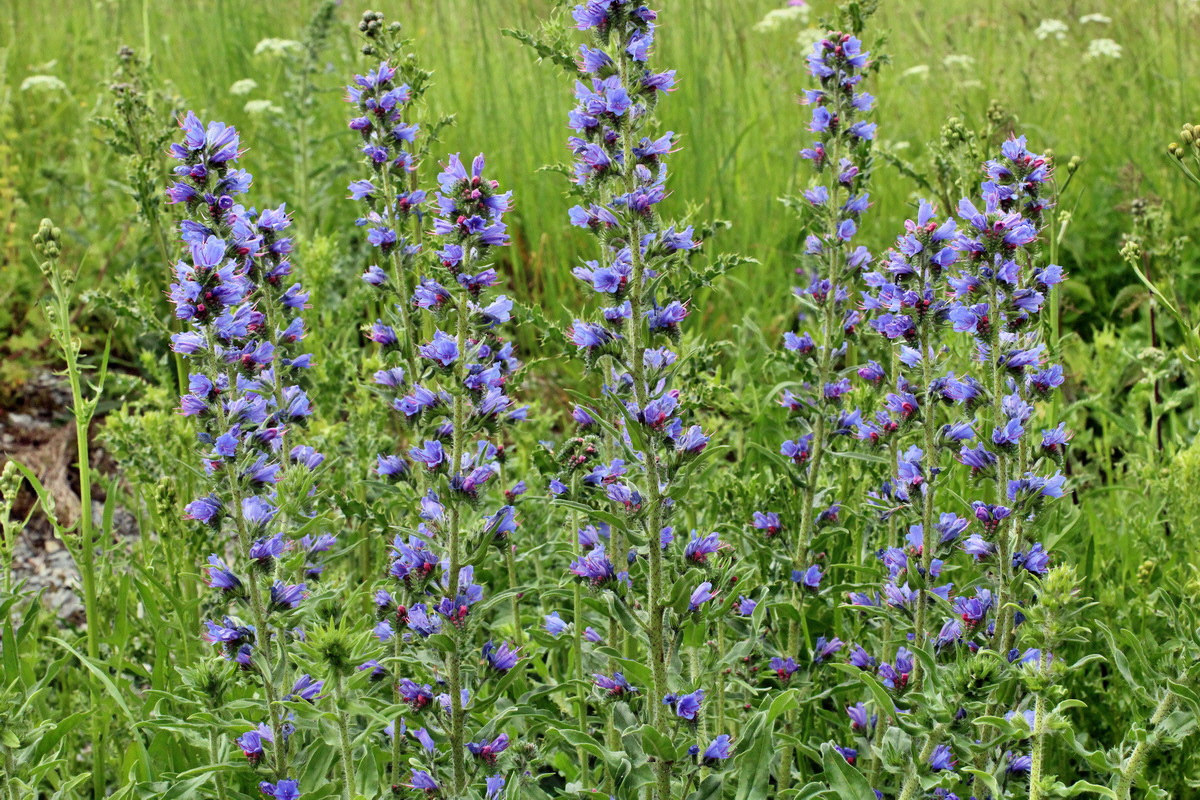 2014_06_13_00046235p_Bildgr��e �ndern