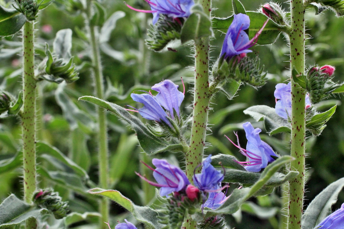 2014_06_13_00046237p_Bildgr��e �ndern