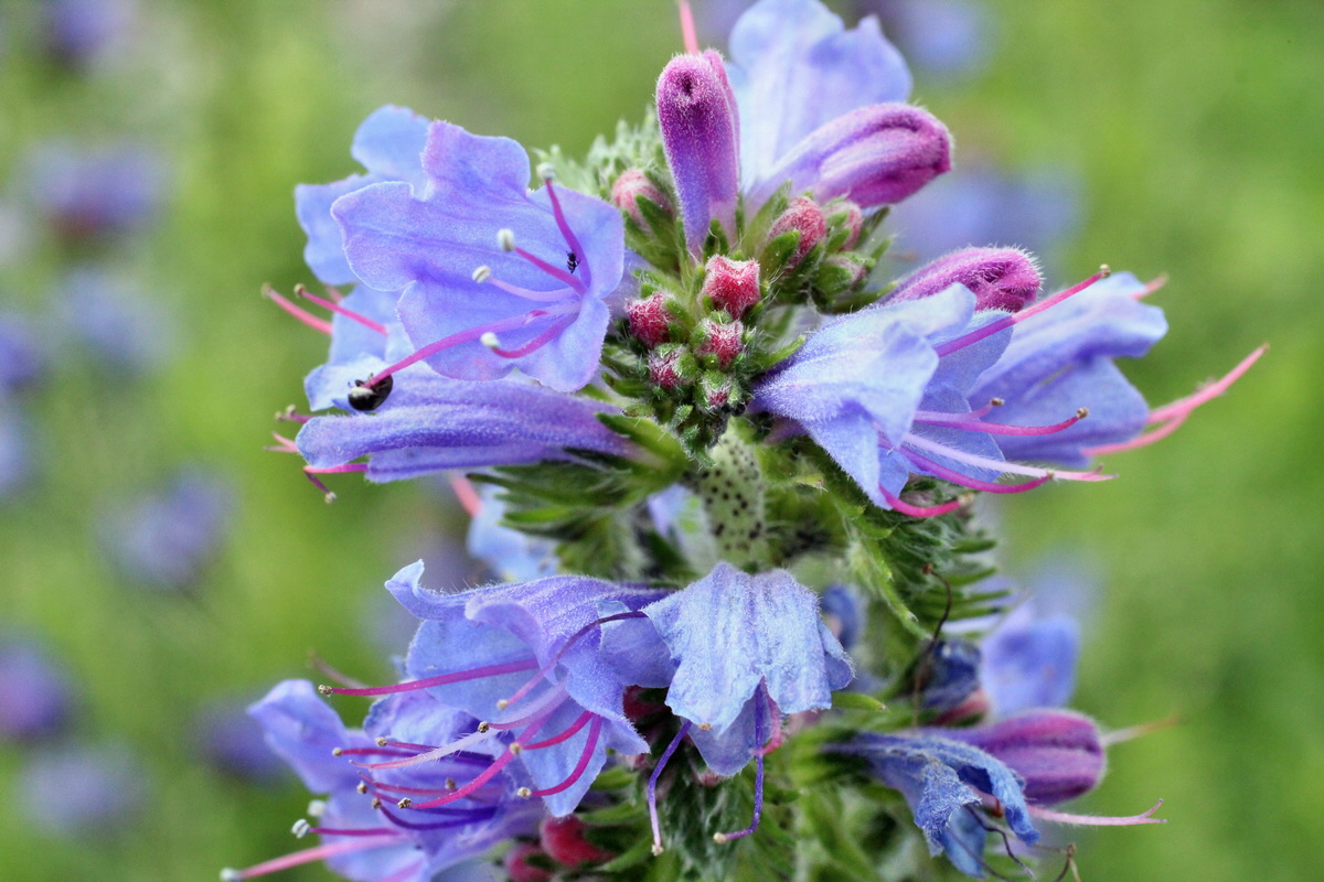 2014_06_13_00046238p_Bildgr��e �ndern