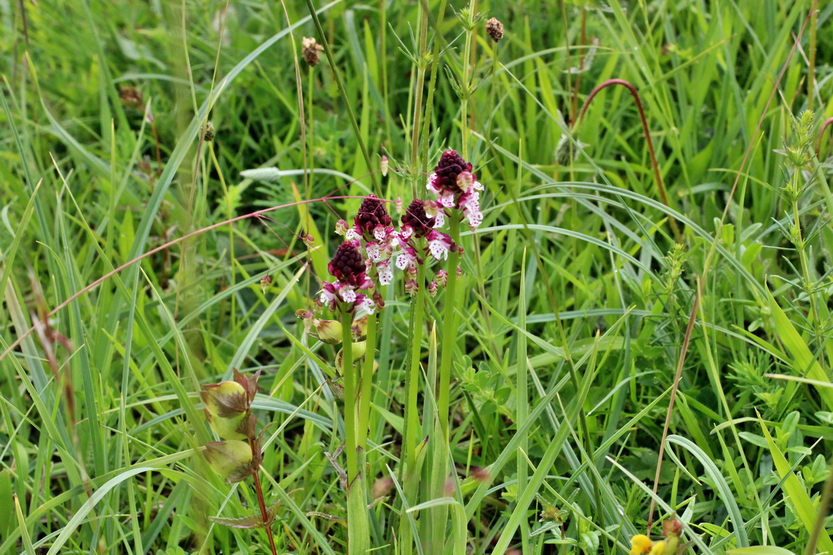 2014_06_13_00046250p_Bildgr��e �ndern