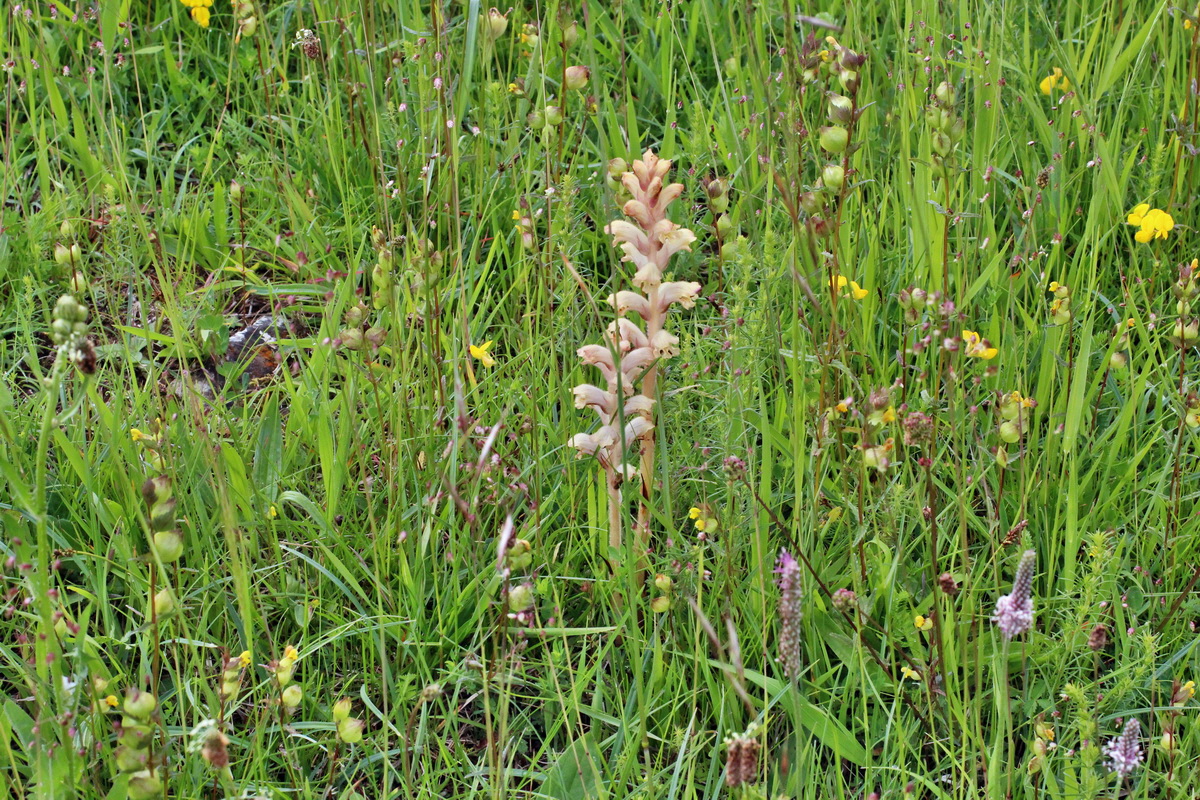 2014_06_13_00046252p_Bildgr��e �ndern