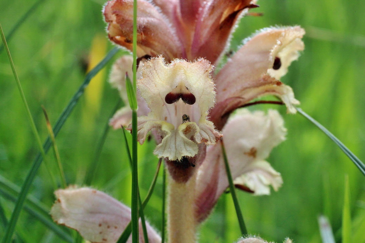 2014_06_13_00046255p_Bildgr��e �ndern