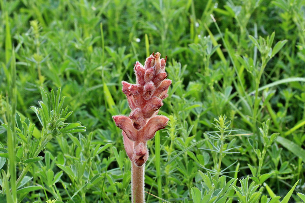 2014_06_13_00046258p_Bildgr��e �ndern