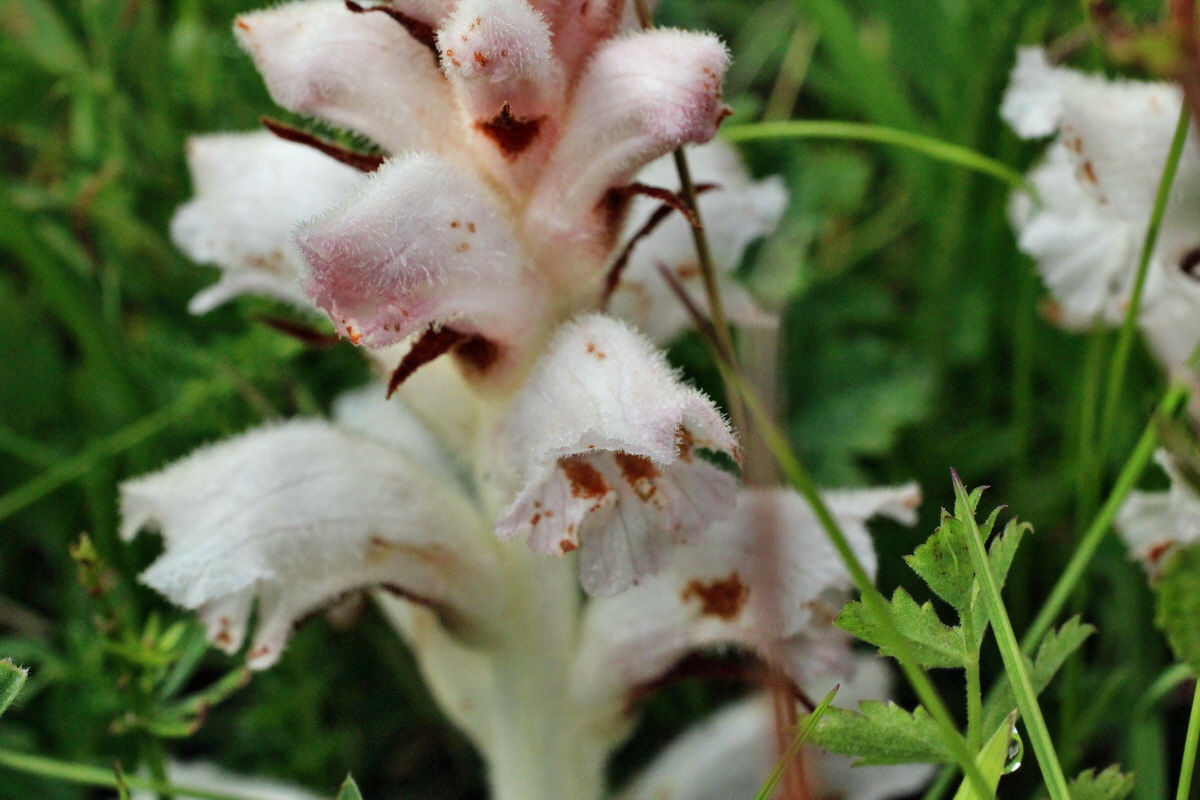 2014_06_13_00046265p_Bildgr��e �ndern