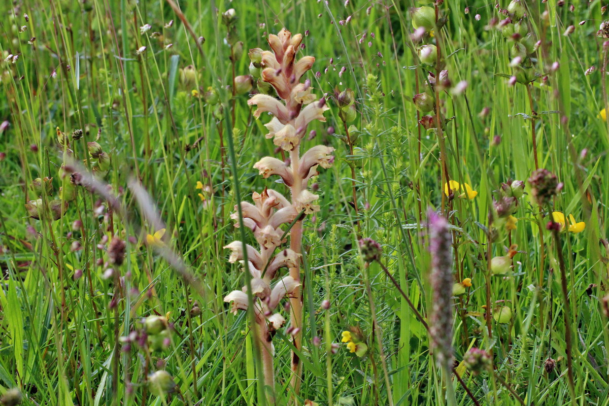 2014_06_13_00046270p_Bildgr��e �ndern