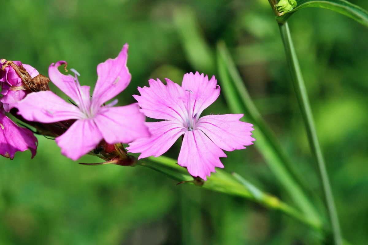 2014_06_15_00046308p_Bildgr��e �ndern