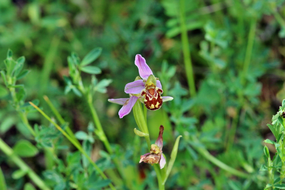 2014_06_15_00046312p_Bildgr��e �ndern