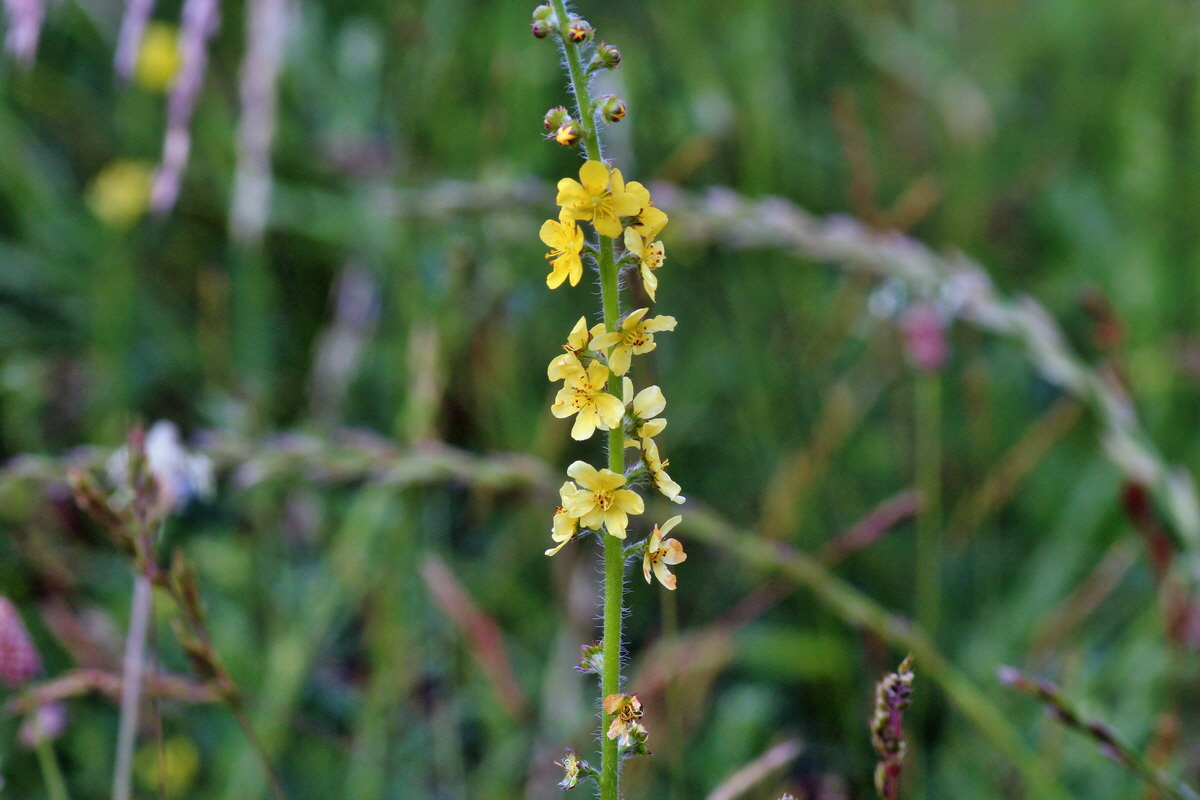 2014_06_15_00046326p_Bildgr��e �ndern