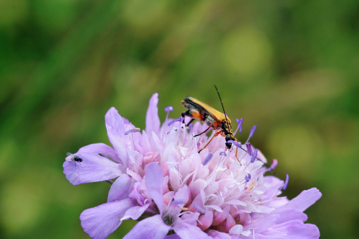 2014_06_15_00046338p_Bildgr��e �ndern