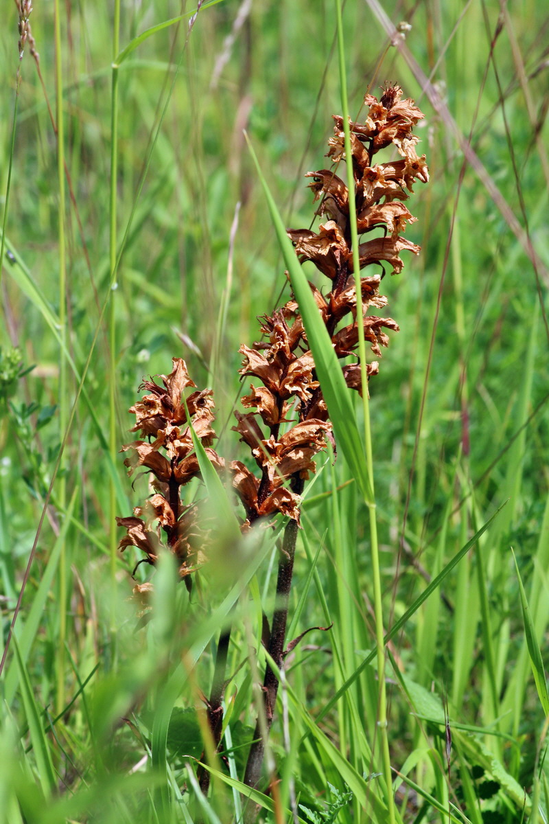 2014_06_15_00046349p_Bildgr��e �ndern