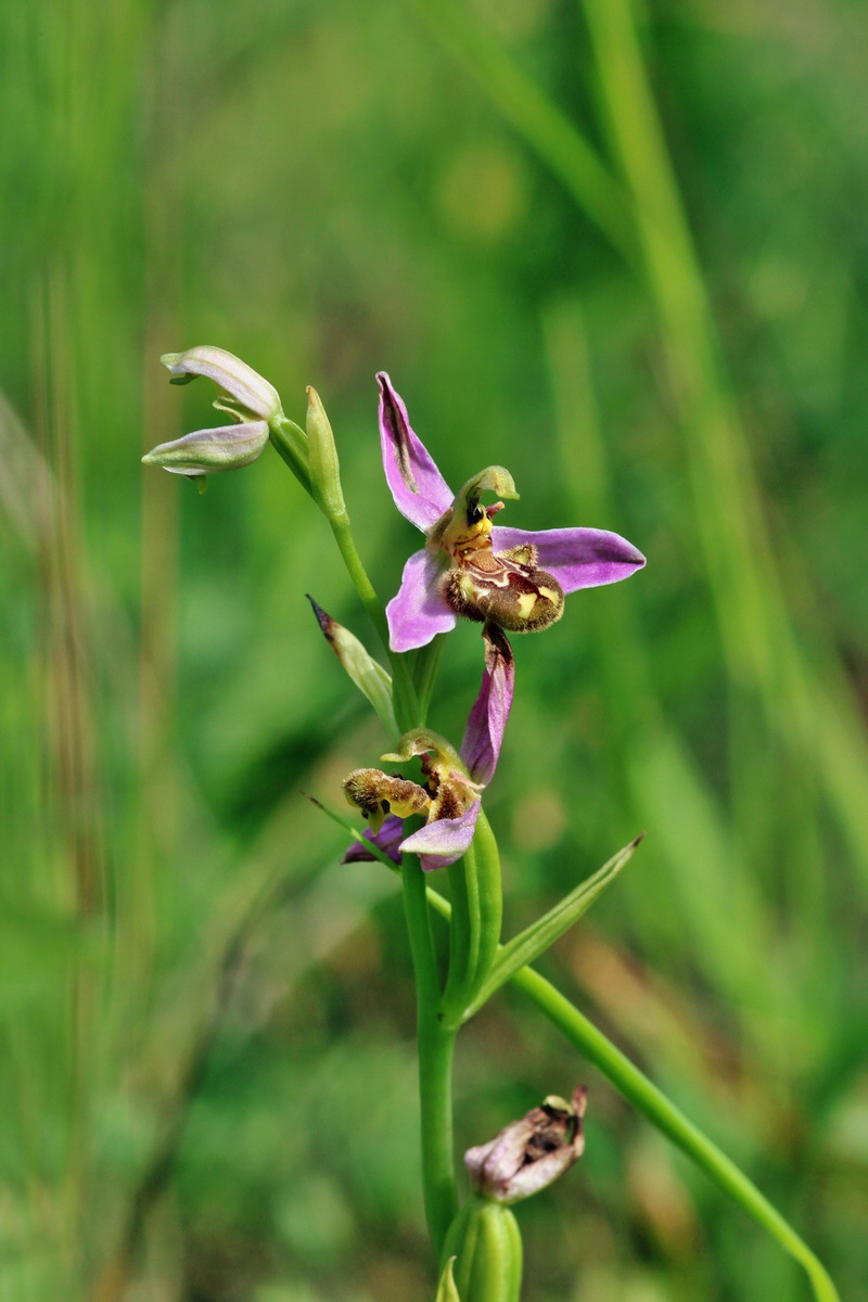 2014_06_15_00046353p_Bildgr��e �ndern