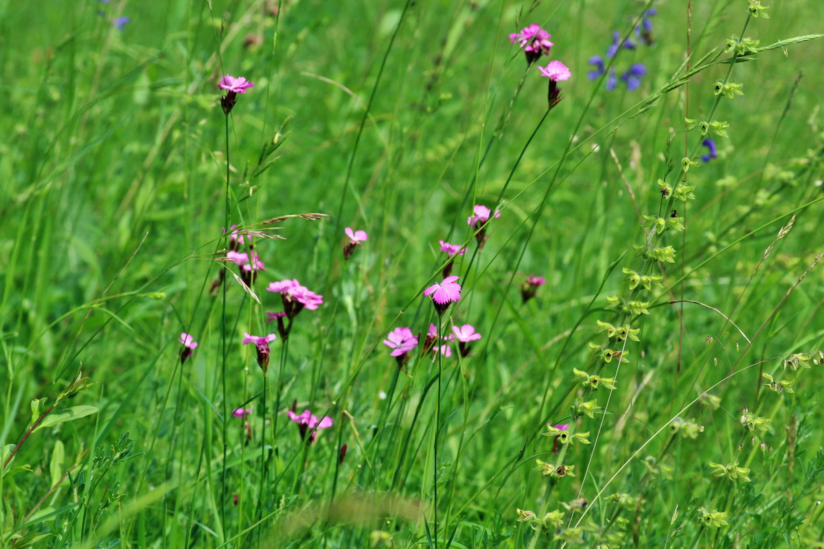 2014_06_15_00046358p_Bildgr��e �ndern