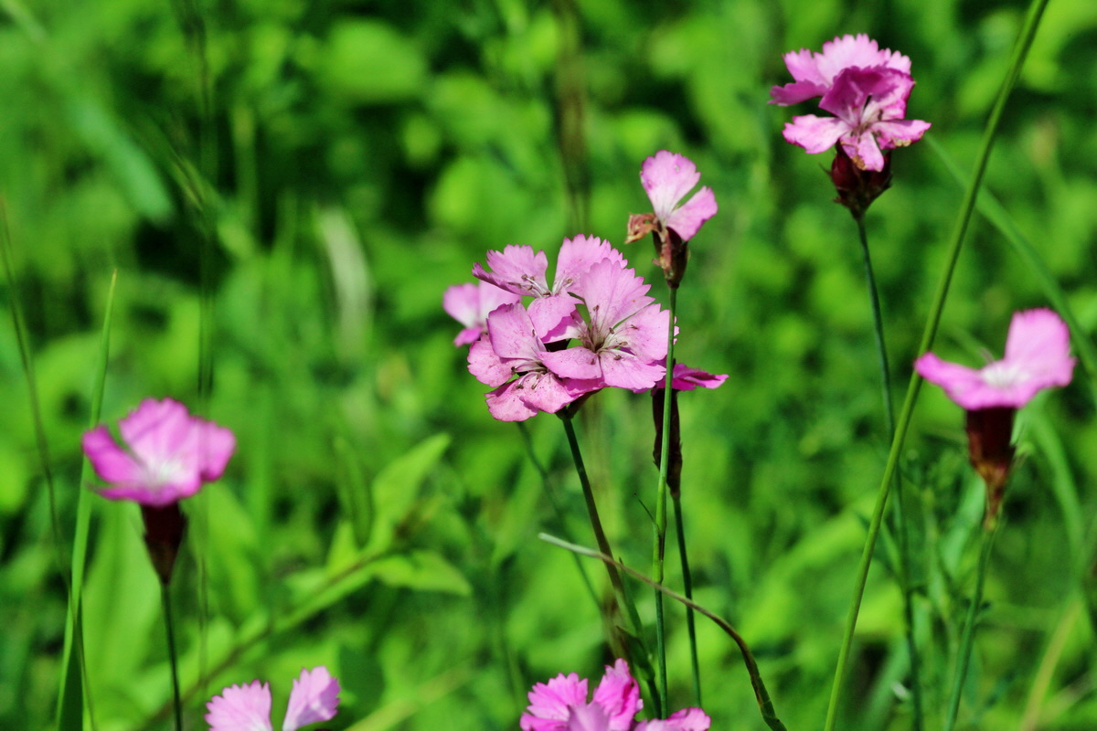 2014_06_15_00046363p_Bildgr��e �ndern