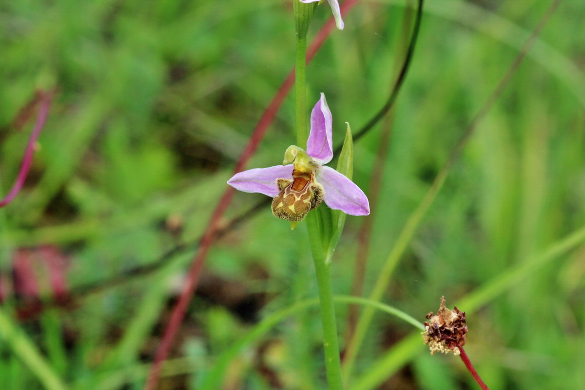 2014_06_15_00046366p_Bildgr��e �ndern