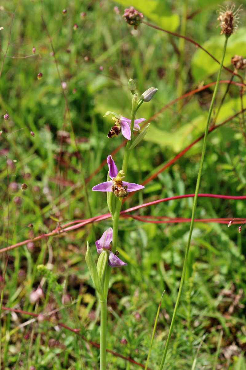 2014_06_15_00046369p_Bildgr��e �ndern