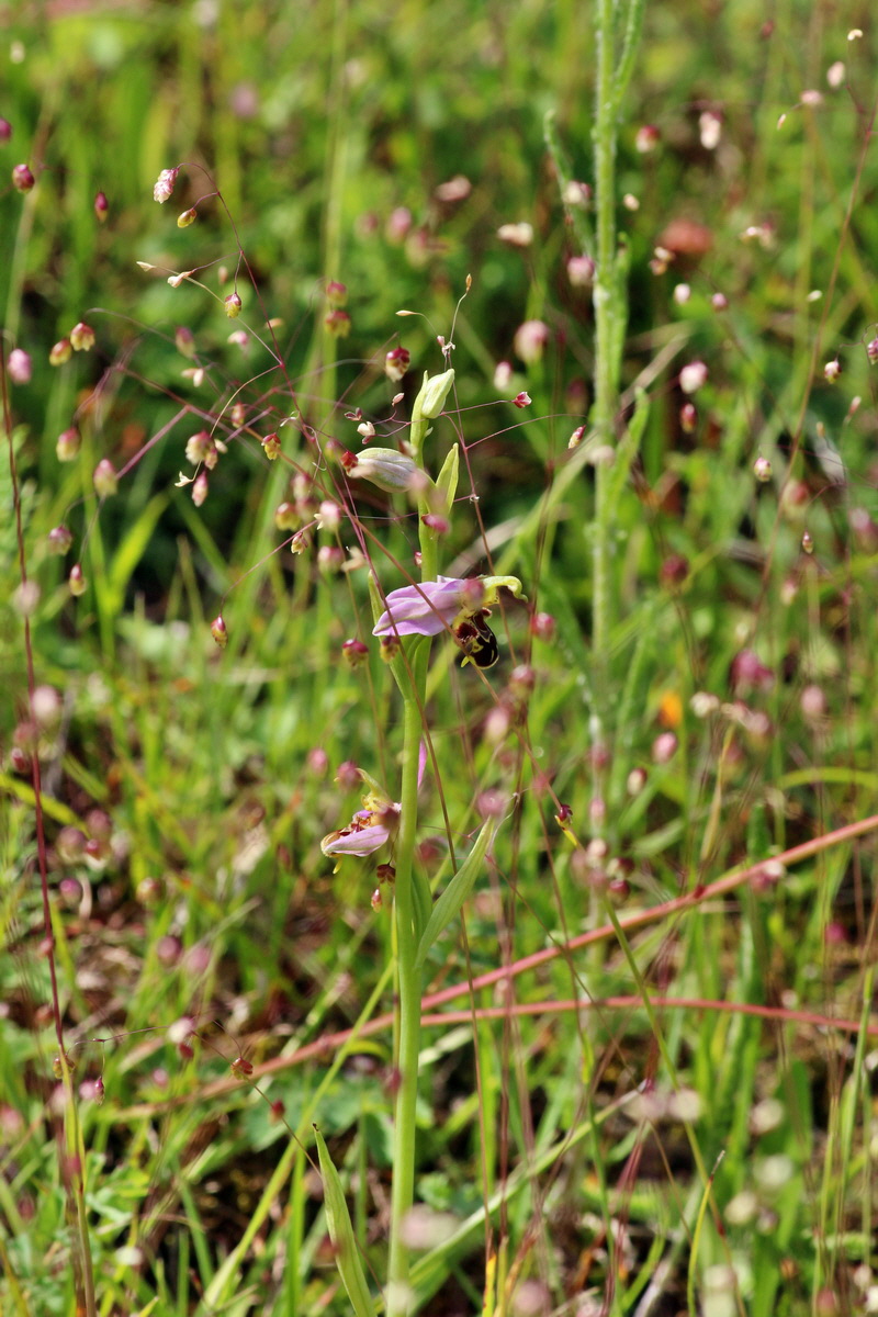 2014_06_15_00046371p_Bildgr��e �ndern