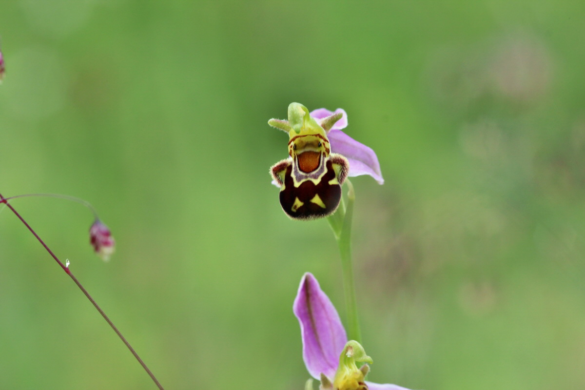 2014_06_15_00046404p_Bildgr��e �ndern