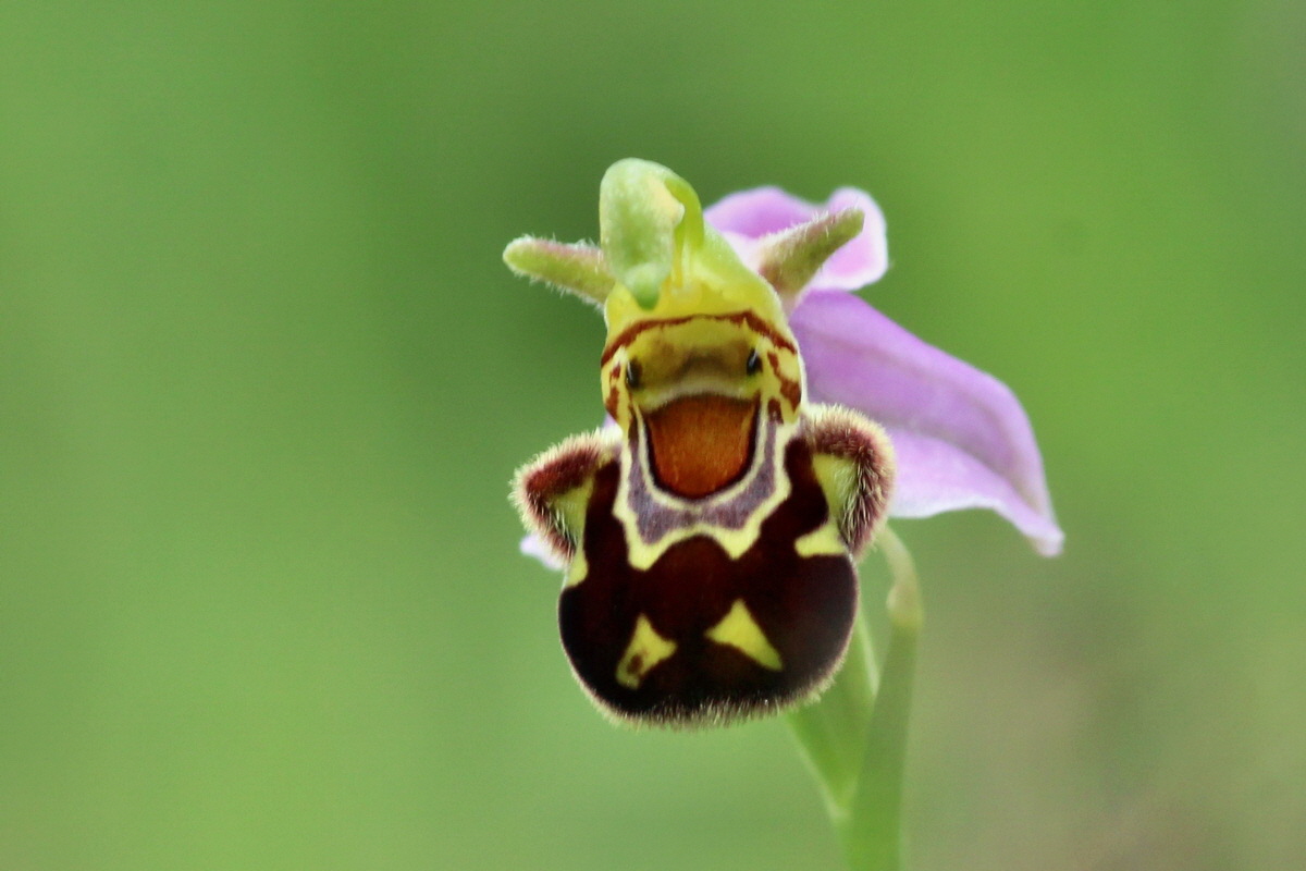 2014_06_15_00046404pa_Bildgr��e �ndern