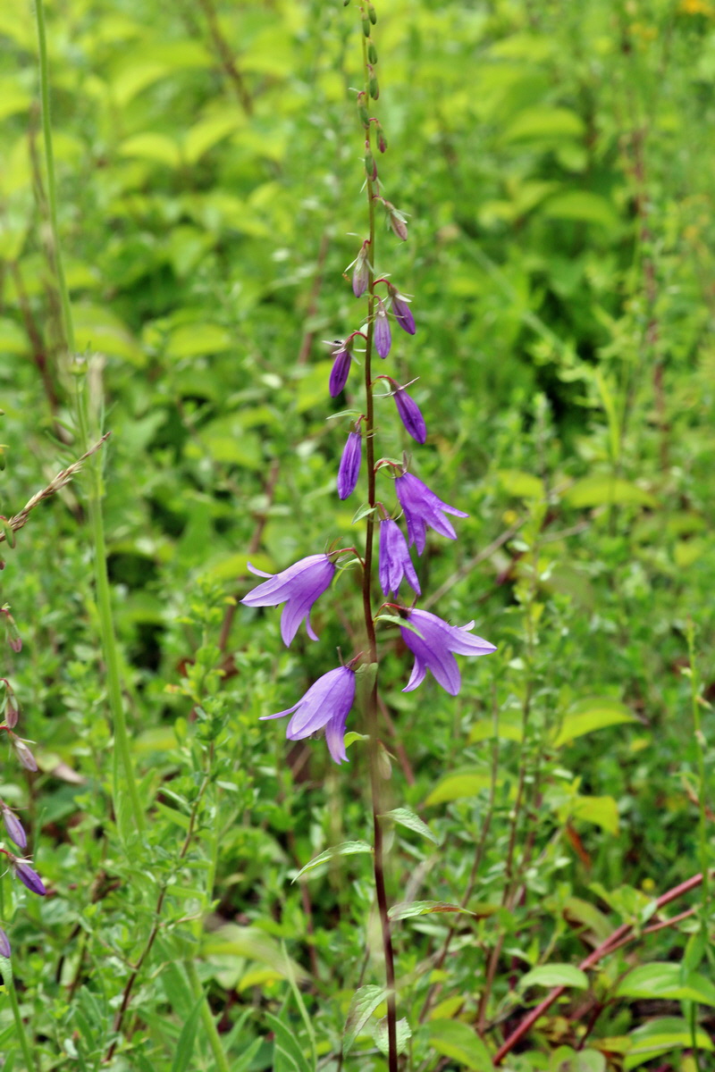 2014_06_15_00046415p_Bildgr��e �ndern