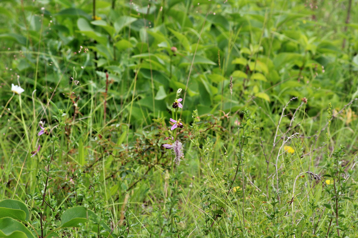 2014_06_15_00046435p_Bildgr��e �ndern