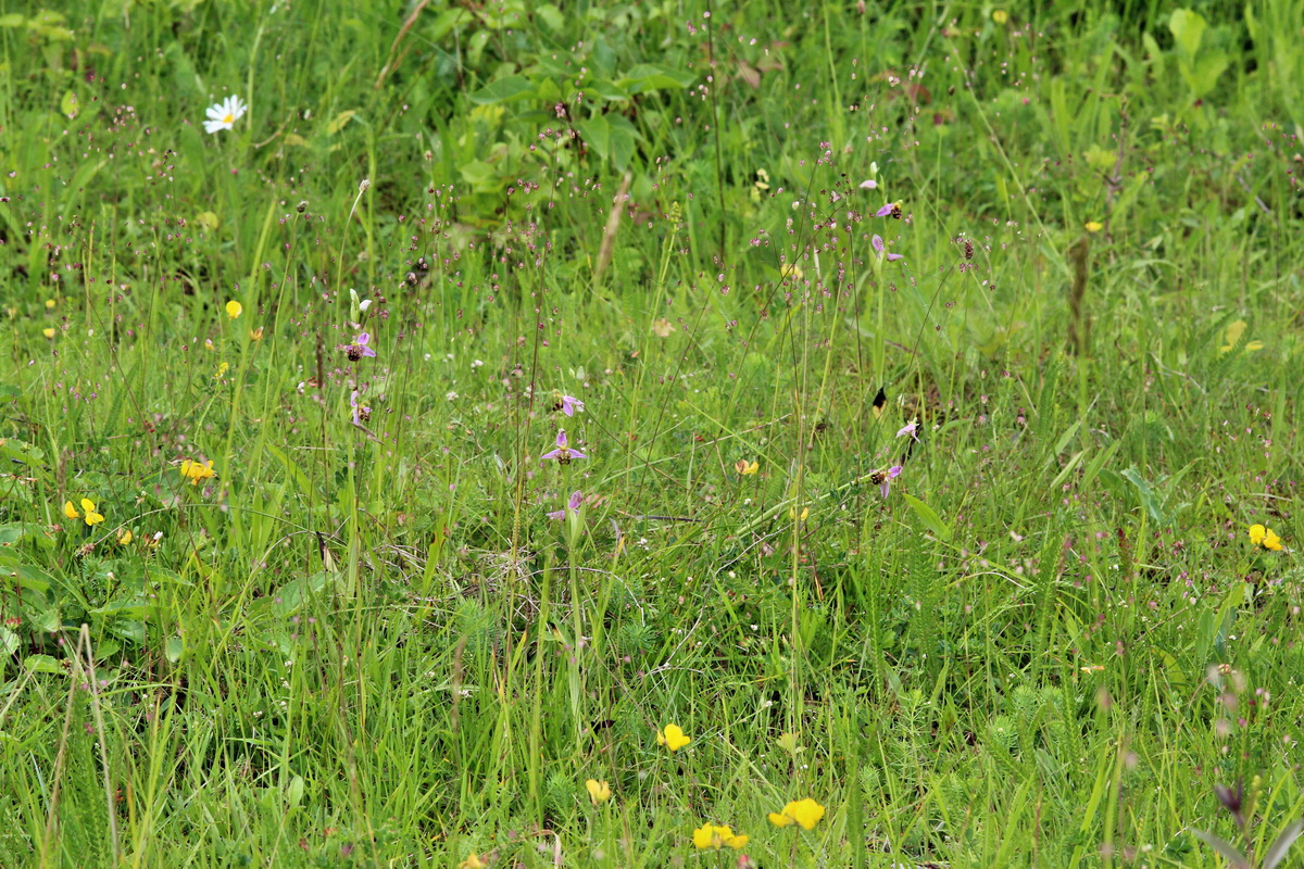 2014_06_15_00046441p_Bildgr��e �ndern