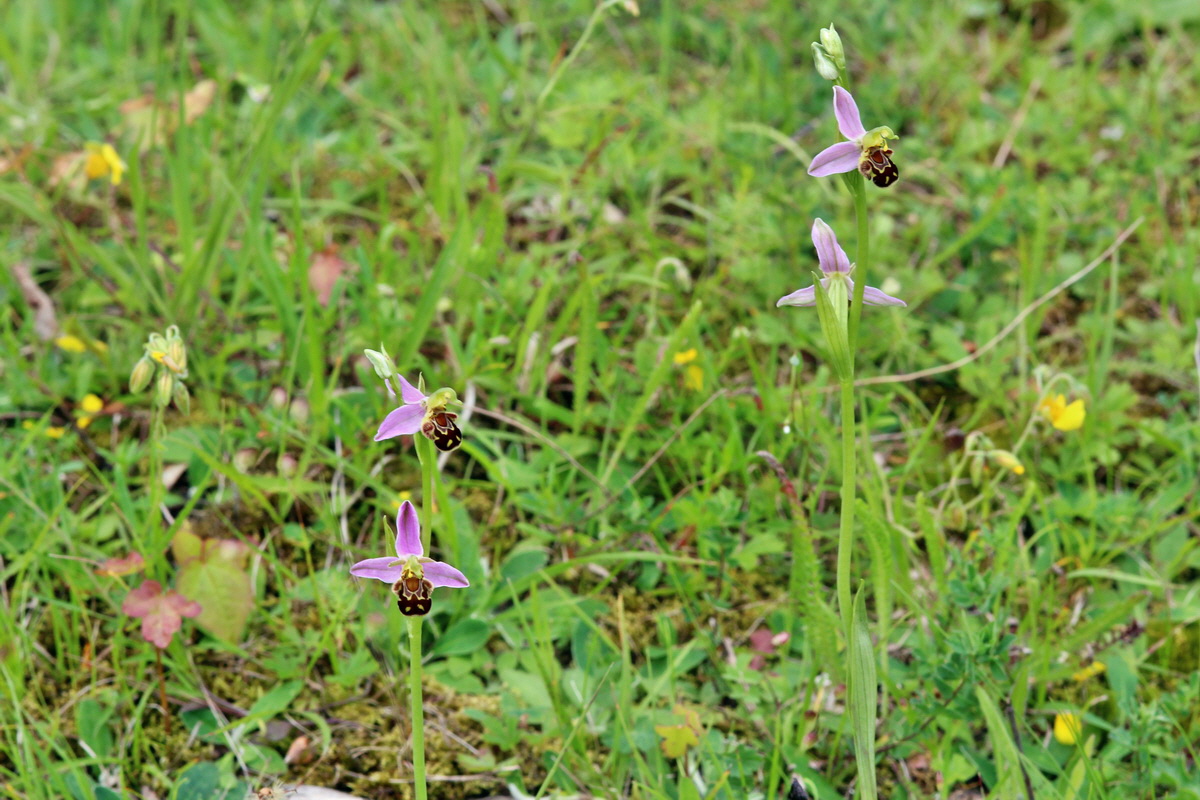 2014_06_15_00046448p_Bildgr��e �ndern