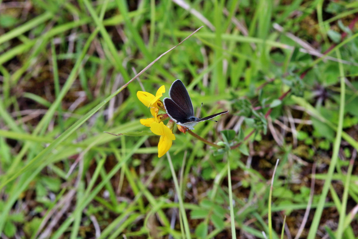 2014_06_15_00046457p_Bildgr��e �ndern