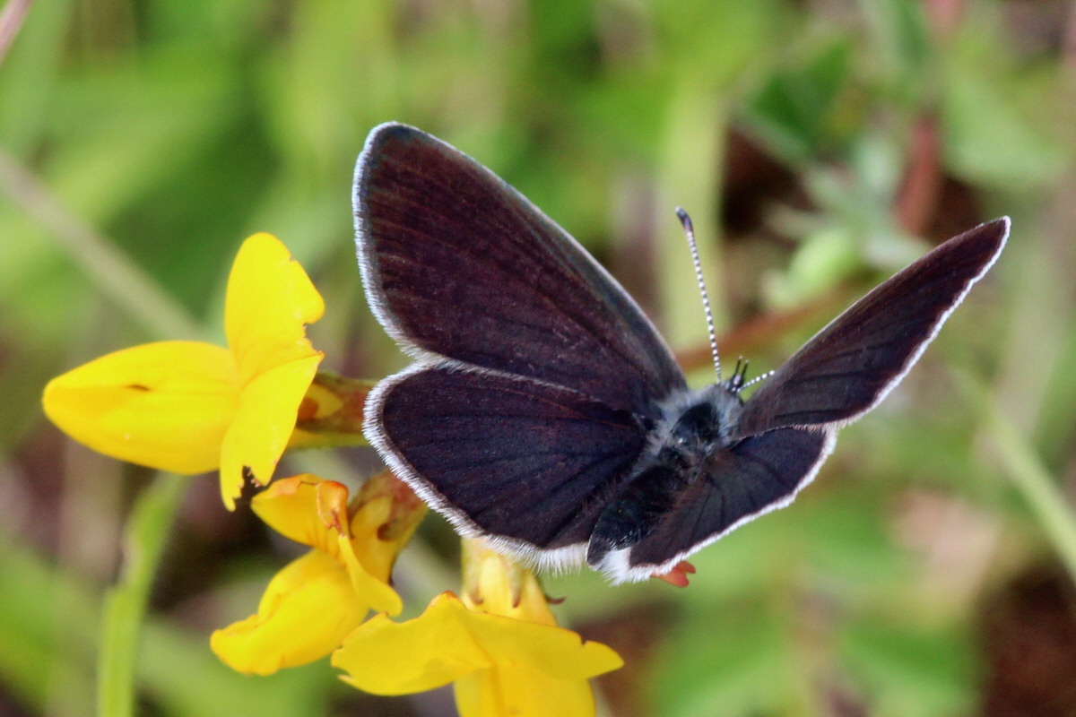 2014_06_15_00046460pa_Bildgr��e �ndern