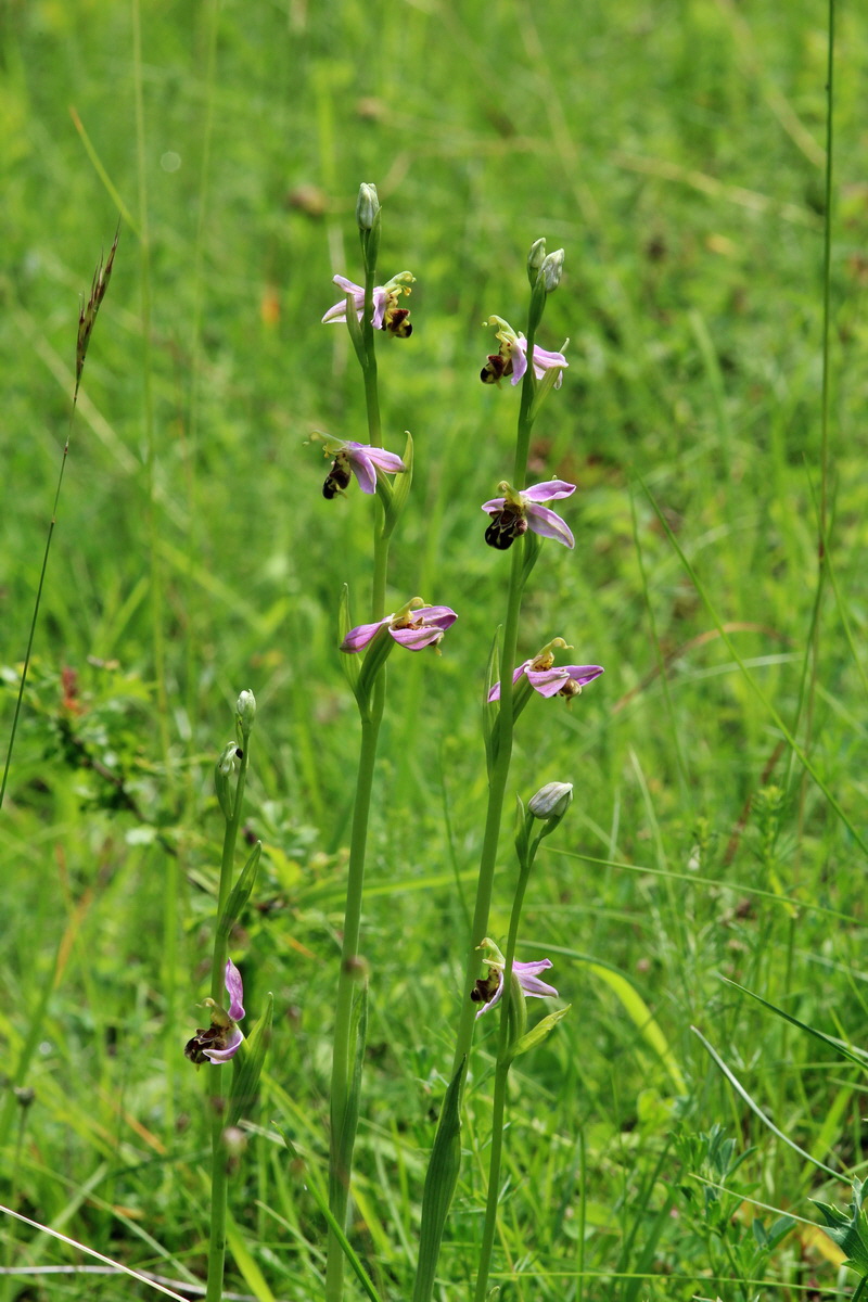 2014_06_15_00046472p_Bildgr��e �ndern