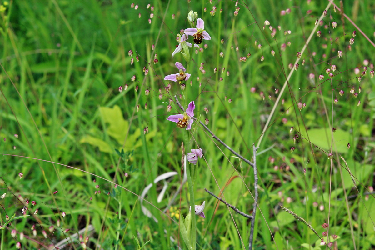 2014_06_15_00046486p_Bildgr��e �ndern