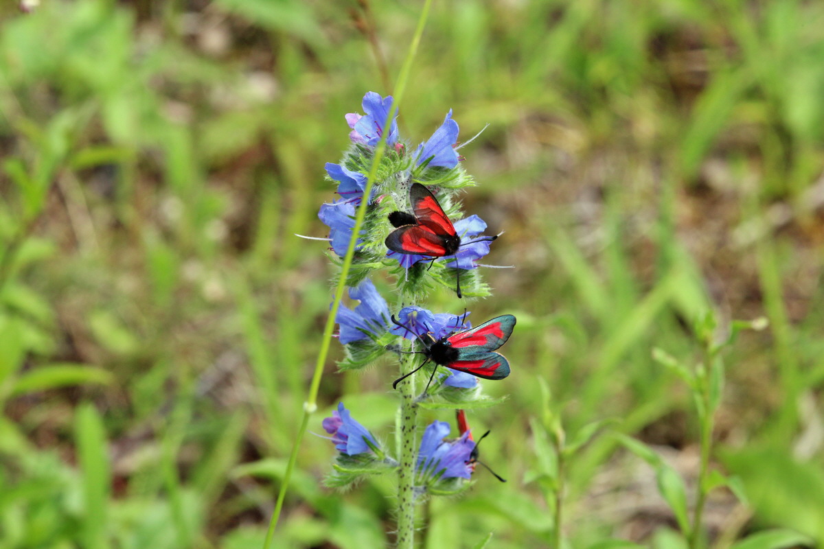 2014_06_15_00046492p_Bildgr��e �ndern