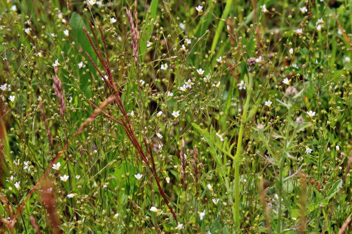 2014_06_15_00046503p_Bildgr��e �ndern